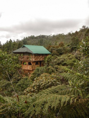 Отель Adriana's Bambu-Lodge  Гуатапе